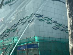 -上海海洋水族馆