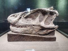 -自贡恐龙博物馆