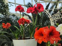 -石家庄市植物园