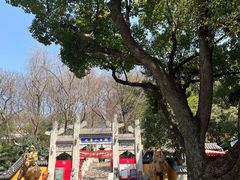 -九华山公园