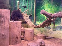 -正佳雨林生态植物园