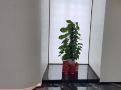 -重庆军科整形美容医院