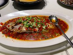 泡椒蒸深海红东星斑-皇朝会.经典传统粤菜(外滩店)