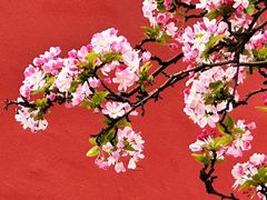 -元大都城垣遗址公园