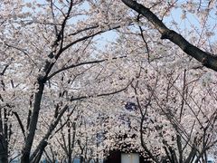 -龙美术馆(西岸馆)