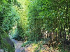 -井空里大峡谷