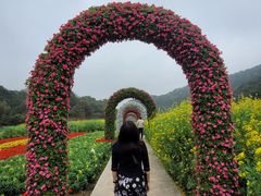 -广州市石门国家森林公园