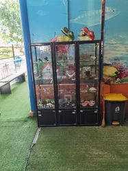 点击看大图 -寻石问宝研学亲子乐园(朝阳公园店)