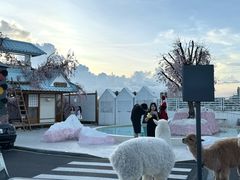 -Blue Concept Cafe&Farm·關於藍
