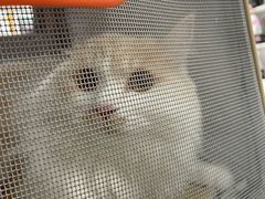 -纳吉亚猫专科动物医院博雅分院