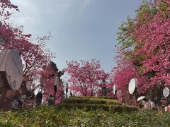 -昆明动物园