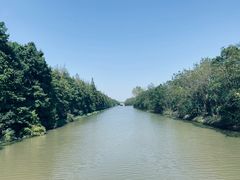 -上海海湾国家森林公园