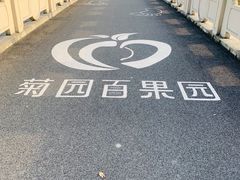 -菊园百果园