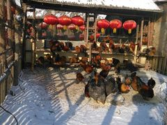 门面-鱼窝棚柴火铁锅炖(富山屯店)