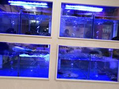-小龍鳳·港式海鲜打边炉(沙湖路店)