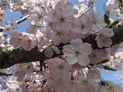 -梁鸿国家湿地公园