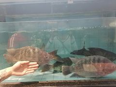 -湛香海鲜城(三乡店)