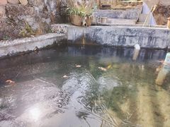 -山沟沟景区