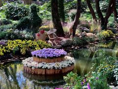 -上海共青森林公园