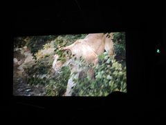 -CMC大光明影城(莲花店)