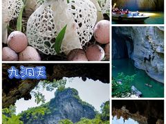 -贵州百里杜鹃风景名胜区