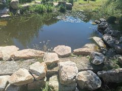 -莫子山公园