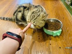 -参差咖啡(水果湖公园店)