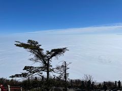 -峨眉山风景名胜区