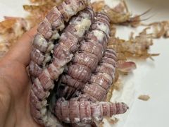 -映像威海·海鲜味道(经区店)