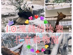 -北京动物园