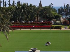 -海南清水湾莱佛士酒店