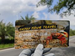 -红树林天天赶海