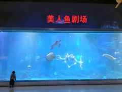 -福州罗源湾海洋世界旅游区