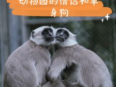 -上海野生动物园