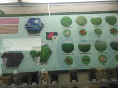 -北京中医药大学-中医药博物馆