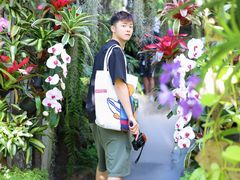 -Chom Cafe and Restaurant