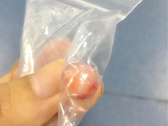 -康成宠物医院24H·CT·核磁共振