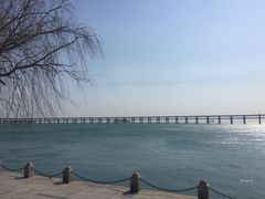 -星海湾跨海大桥