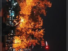 -秋水广场音乐喷泉