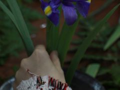 -南京夫子庙石唯玉雨花石酒店