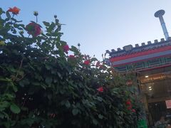 -张记焖窑·十五年专注焖烤(雍和宫店)