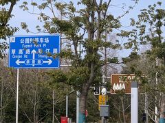 -上海滨江森林公园