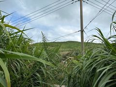 -东极岛景区-青浜岛