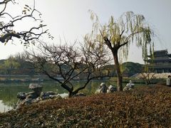 -苏州吴宫泛太平洋酒店