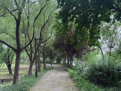 -长兴太湖图影湿地文化园