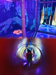 -卡通尼·Safari非洲探索乐园·生日会(金桥国际商业广场店)