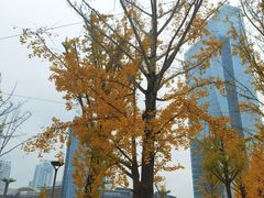 -百林公园-两江幸福广场