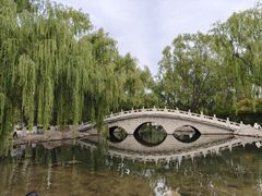 -阿尔丁植物园