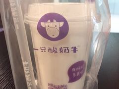 -一只酸奶牛(百联南岸上海城店)