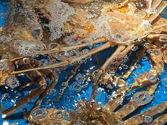 -徐记海鲜(南油永新汇店)